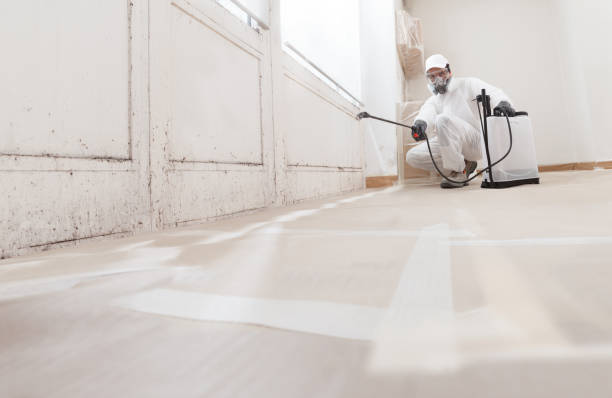 24/7 Emergency Mold Remediation experts in Sand Lake, MI