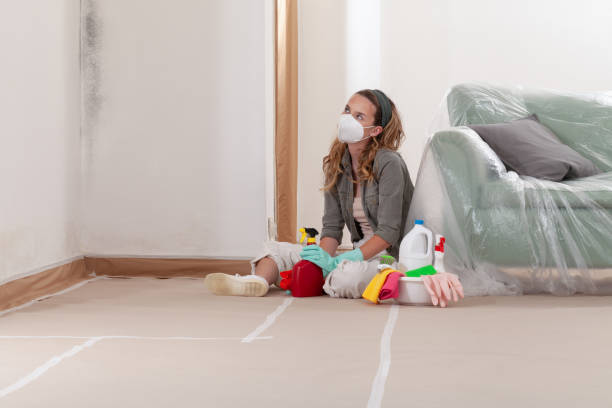 Reliable Mold Remediation contractor in Sand Lake, MI by 24 Hour Mold Removal